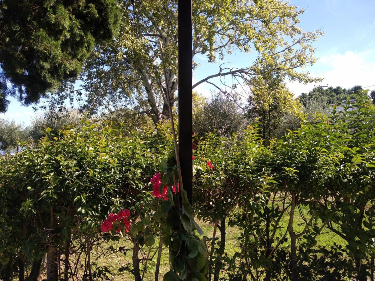 Appartamento Kalypso Relaxing Shelter Arkítsa Esterno foto