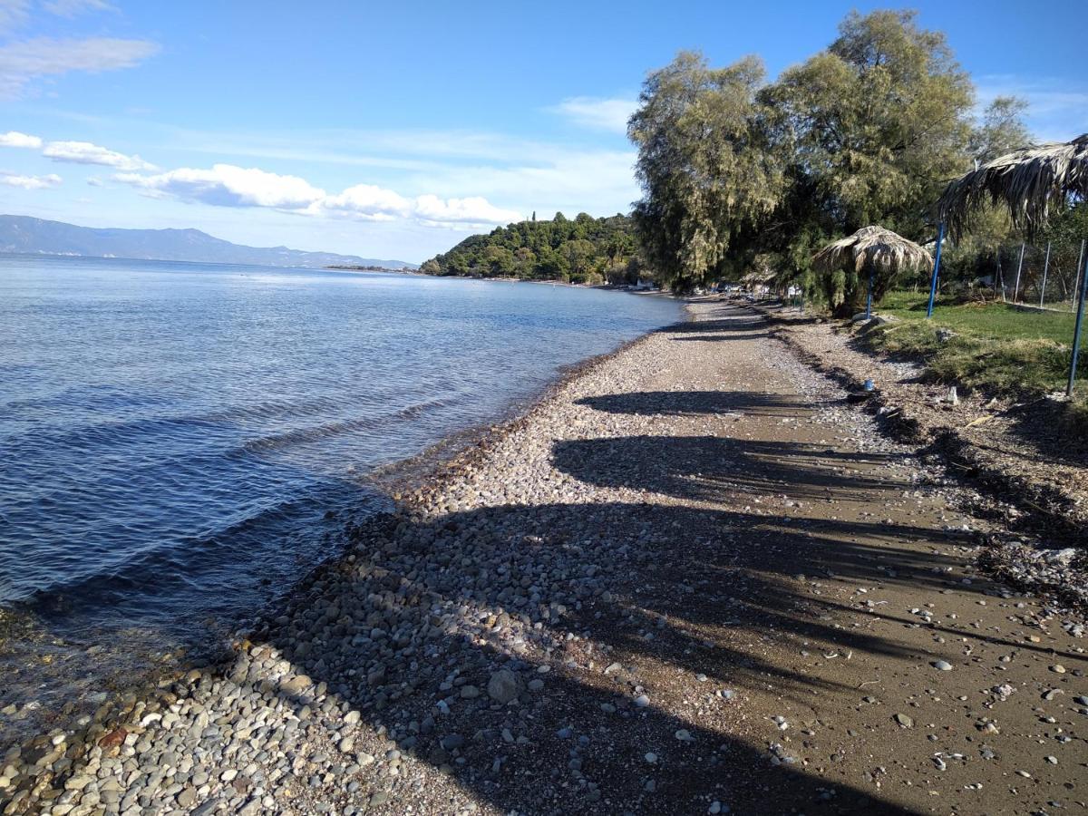 Appartamento Kalypso Relaxing Shelter Arkítsa Esterno foto